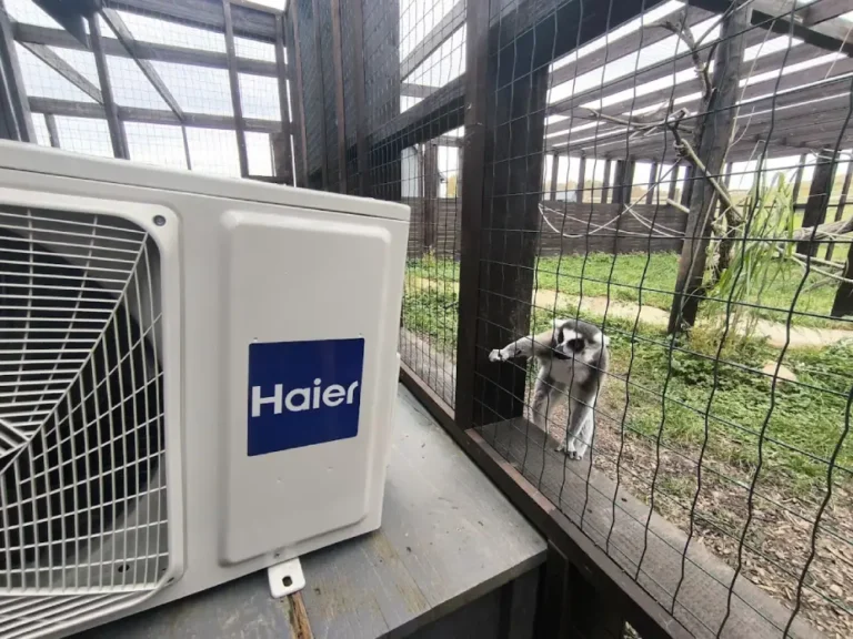 Haier siltumsūknis - Sigulda Zoo ar lemūru
